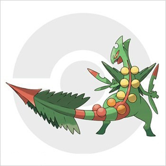 《口袋妖怪：红宝石/蓝宝石》MEGA御三家详介