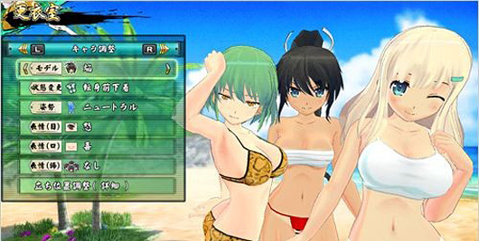 《闪乱神乐EV》下载版预约开始 三张PSV版画面