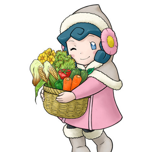 《波波罗克洛伊斯牧场物语》玛舒村情报公开